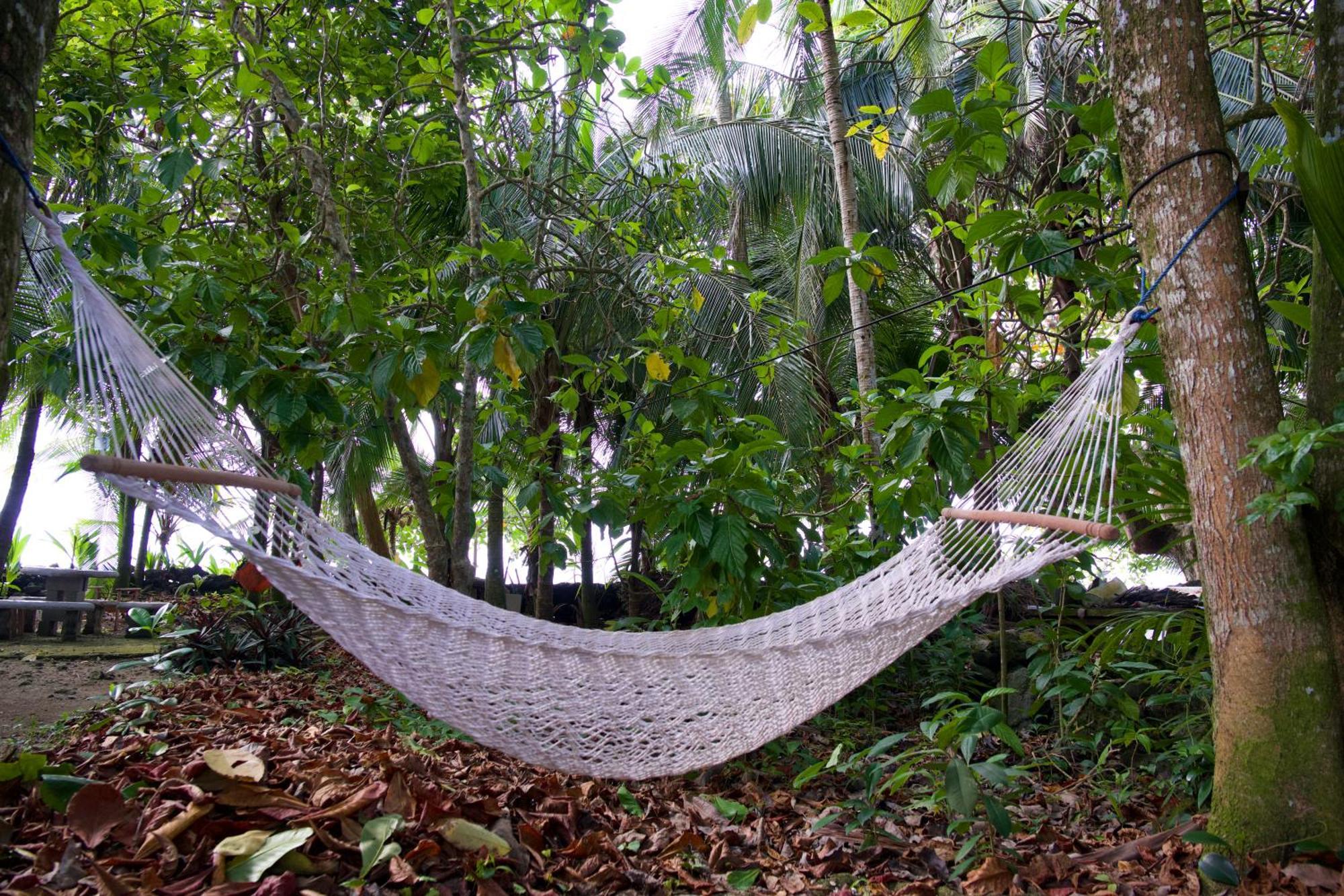 Casa Mamre Hostel Cahuita Bagian luar foto