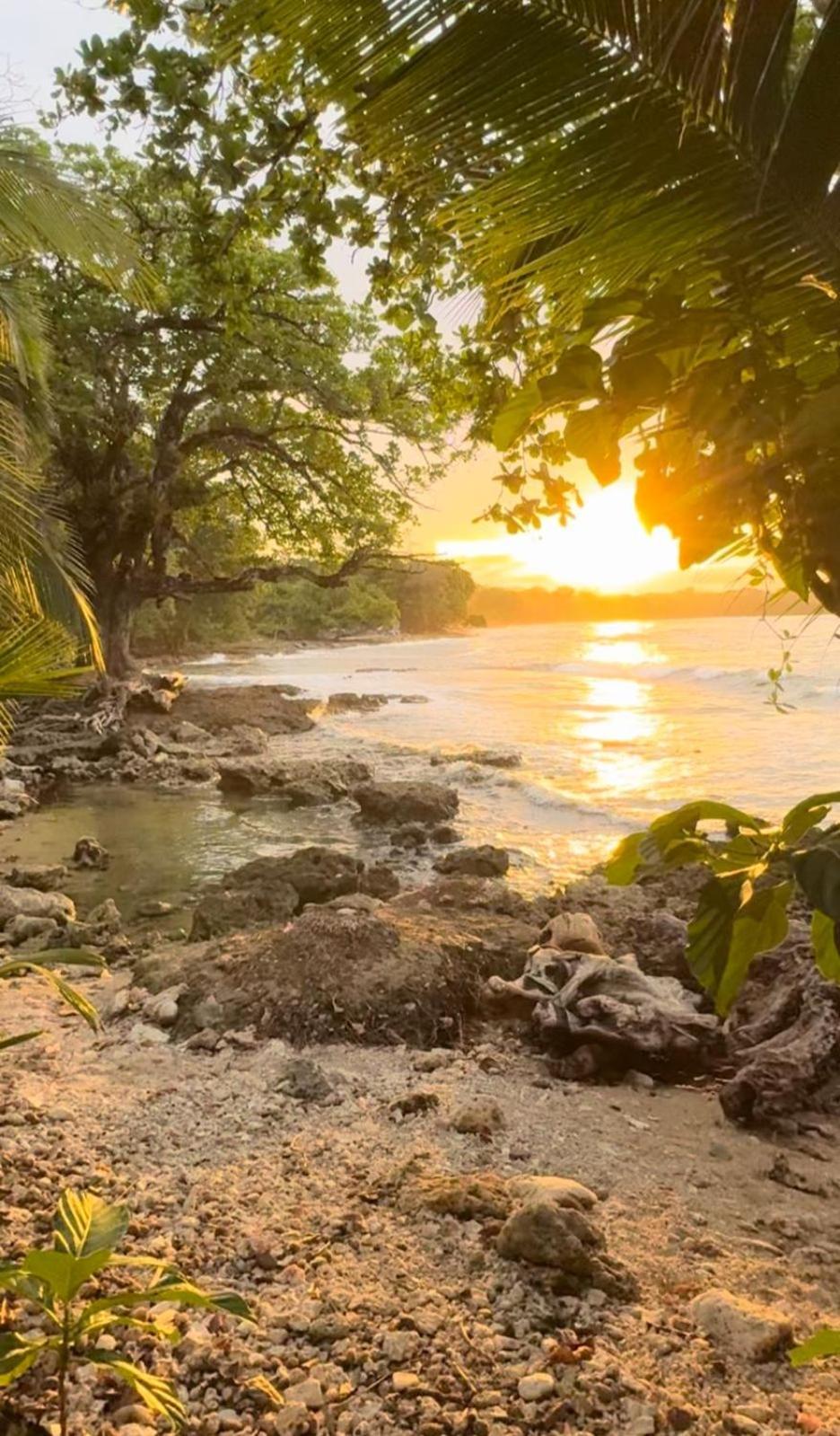 Casa Mamre Hostel Cahuita Bagian luar foto