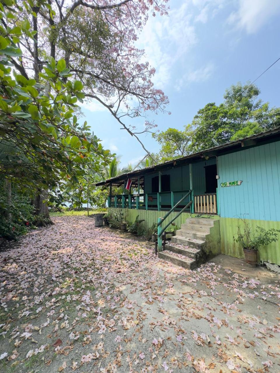 Casa Mamre Hostel Cahuita Bagian luar foto